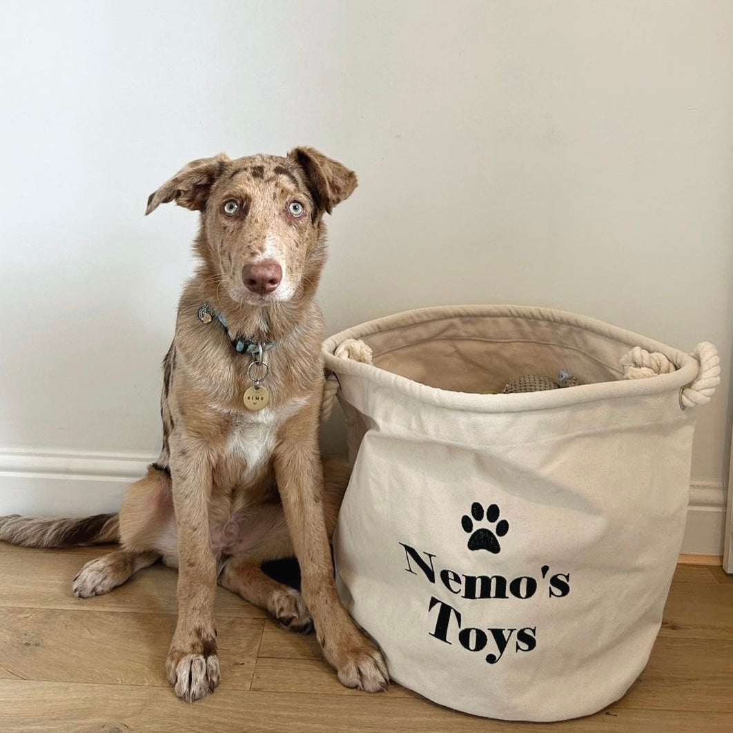 Personalised Embroidered Pet Canvas Toy Basket madewithmilo